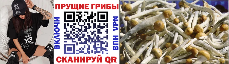 Галлюциногенные грибы мухоморы  kraken сайт  Кулебаки 